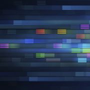 Why Adopting a Digital Asset Management System Is Necessary For Business?